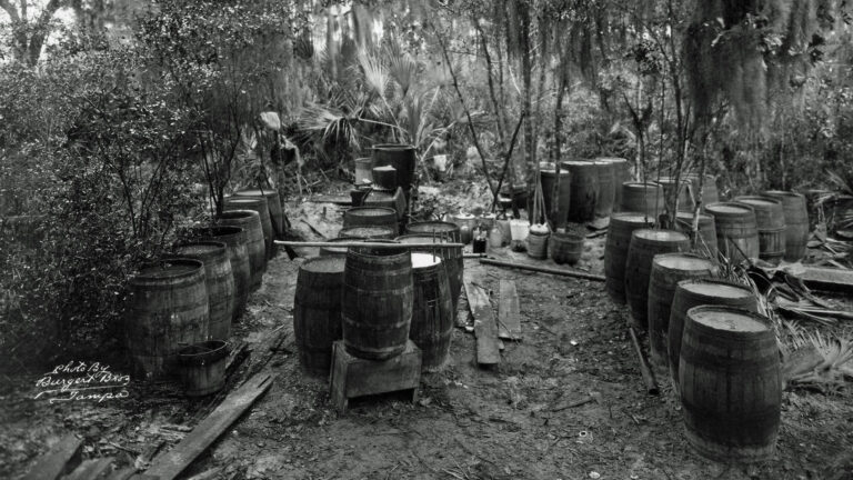 moonshine making in the woods